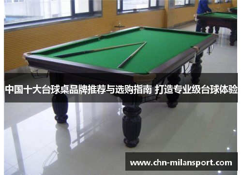 中国十大台球桌品牌推荐与选购指南 打造专业级台球体验