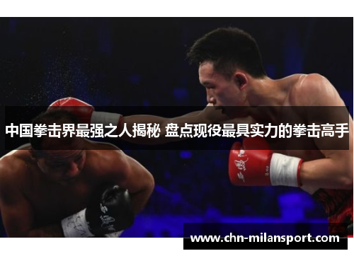 中国拳击界最强之人揭秘 盘点现役最具实力的拳击高手