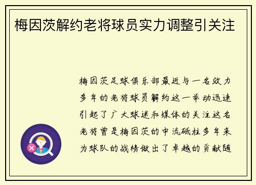 梅因茨解约老将球员实力调整引关注
