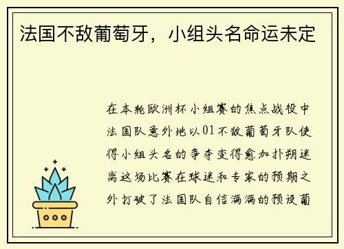 法国不敌葡萄牙，小组头名命运未定